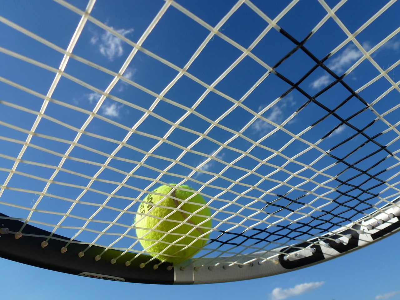 Cordage et raquette, notions – Ecosport Tennis %